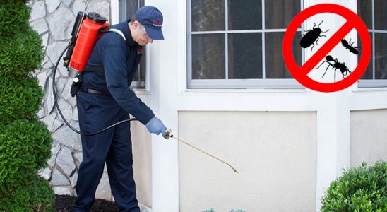 Çamardı Bit İlaçlama böcek ilaçlama ve haşere kontrolü — ilaclama-tr.com